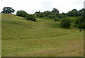 Parsonage Farm, Stalisfield