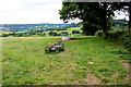 Fields Near Northleigh