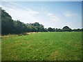 Large Grass Field