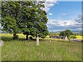 Graveyard at Nonikiln