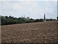 Southwell Minster seen from Cundy Hill