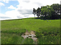 Farmland by Ley Plantation