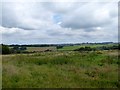 Old Orchard/Calves Meadow