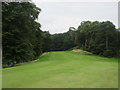 Letham Grange, Old Course, 14th Hole, Brought to the Pines