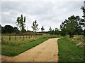 Landscaped Area for Leisure