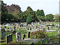 Cemetery, Swanscombe
