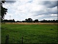 Farm Land near Palmer