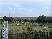 TQ6073 : Allotments, Swanscombe by Robin Webster