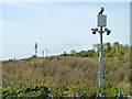 High security wasteland, Swanscombe