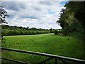 TQ0287 : Field near Moor House Farm by James Emmans