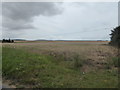 Field opposite Thorley Church