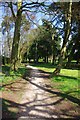 Footpath in Bewdley Hill Wood, Bewdley Hill, Kidderminster, Worcs