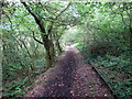 Llwybr i Bontyberem / Path to Pontyberem