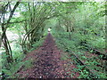 Llwybr i Bontyberem / Path to Ponyberem