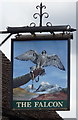 Sign for the Falcon, Park Street