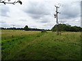 Grazing beside drain off Bluehouse Hill