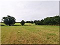 Fields near Harvil Farm