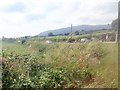 Traffic on the Forkhill Road