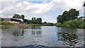 River Wye near Monmouth