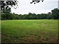 Small Field next to Bayhurst Wood