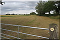 Cross Bucks Way heading across the field