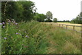 Byway towards Cowley Farm