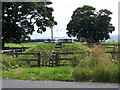 Service reservoir near Orton