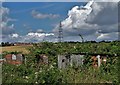 View over abandoned allotments at Upton