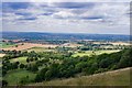 Vale of Aylesbury : view from near Coombe Hill