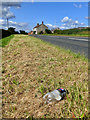 Newly mown verge with obligatory litter