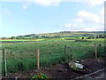 Fields near High Malsis Farm