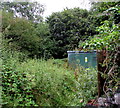 Dark green cabinet behind weeds, Church Street, Tredegar