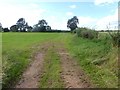 NY6520 : Field and farm track near Hawkrigg Farm by Oliver Dixon
