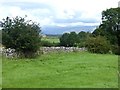 Field near Long Moor