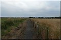 Path to North Sunderland