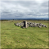 SO2556 : Trig point on Hergest Ridge by John Allan