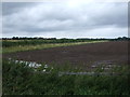 Field off New Trench Road (A518)