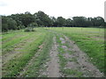 Bridleway near Vining Farm