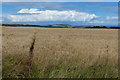 Farmland next to Goldsborough Lane