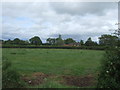 Grazing, Blymhill Lawn