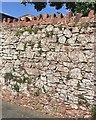 Sandstone rubble wall by Footpath No.19, Bishopsteignton