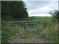 Field entrance off the A449