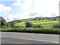 North South Interconnector power lines running parallel with the Dundalk Road