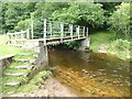 Footbridge on Ridingmill Burn