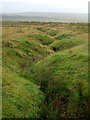 NT8302 : World War I practice trenches, Otterburn Ranges by Andrew Curtis