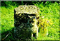 SP1501 : Headstone of Church Cat, St Mary's Church, Fairford, Gloucestershire 2002 by Ray Bird