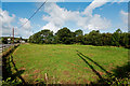 A field on the B3233 Yelland Road upon which no houses have been built