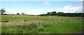 Farmland by the M8 motorway