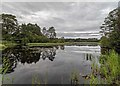 NJ0255 : Loch of Blairs by valenta