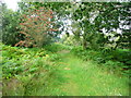 One of the paths between the Old Racecourse and the car park.Oswestry Rural